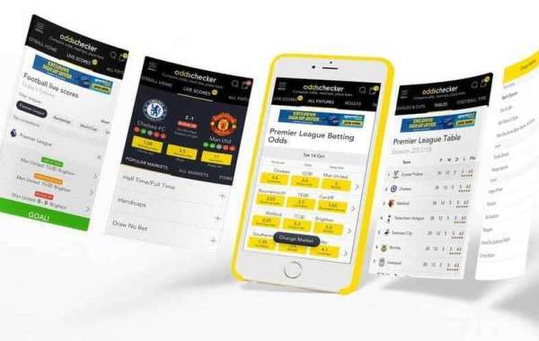 Rolling the Dice: How Sports Betting Spins the Odds in Your Favor