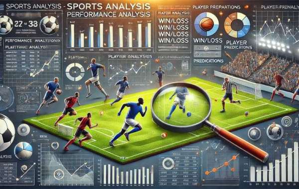 The Importance of Sports Betting Forums in Today's Betting Landscape