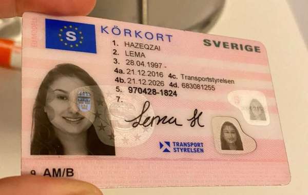 The Future of Legal Authentication: Obtaining Your Driving License Online