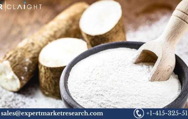 Cassava Processing Market Outlook, Size, Trends, Growth (2025-2034)